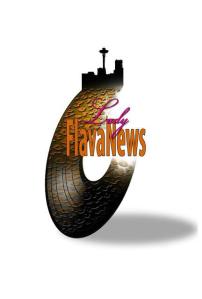 Flava News
